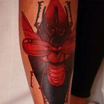 Crimson Beetle by Jacob Wiman (via IG-blackmagicjake) #neotraditional #animals #creatures #jacobwiman #colorful #newschool