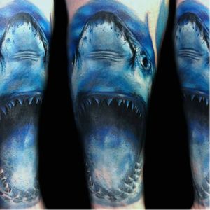 Max Pniewski #tubarão #tubarões #realismo #tatuagemrealista #realismocolorido #tatuagemcolorida #fundodomar #mar #brasil #brazil #portugues #portuguese