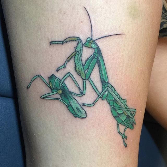 Praying Mantis Tattoo Meaning Discover the Deeper Significance and Unlock  Their Hidden Meanings  Impeccable Nest