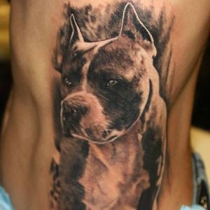 Vi encarar? #cachorro #dog #KárolyVirág #tatuadorhungaro #realismo #brasil #brazil #portugues #portuguese