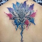Tattoo feita pelo artista Marcel Vignoto! #MarcelVignoto #flor #flordelotus #lotusflower #delicate #delicada #splashtattoo