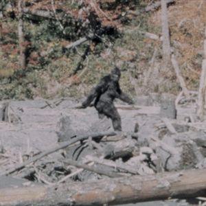 The most famous photograph of Bigfoot ever. #Bigfoot #Sasquatch #Yeti