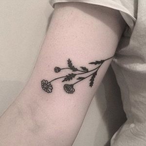 Handpoked tattoo by Cate Webb. #CateWebb #linework #handpoke #sticknpoke #handpoketattooartist #daisy #flower
