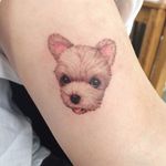#dog #doy #tattooistdoy