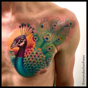 Por Amanda Chanfreau #AmandaChanfreau #gringa #colorida #colorful #funny #divertida #pavao #peacock #ave #passaro #bird