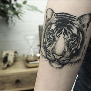 A tiger about to pounce from Rebecca Vincent's portfolio (IG-rebecca_vincent_tattoo). #blackwork #illustrative #RebeccaVincent #tiger