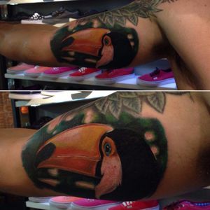 Tucano por Bonny Pamella! #tatuadorasbrasileiras #tatuadorasdobrasil #tattoobr #tattoodobr #SãoPaulo #realismo #realism #realista #realistic #tucano