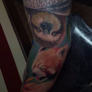 Tattoo por Connor Prue! #ConnorPrue #realism #realismo #colorful #sloth #bichopreguiça #raposa #fox #nature #natureza #animals #animais #realismocolorido