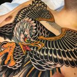Eagle by Griffen Gurzi (via IG-griffengurzi) #traditional #bold #color #griffengurzi