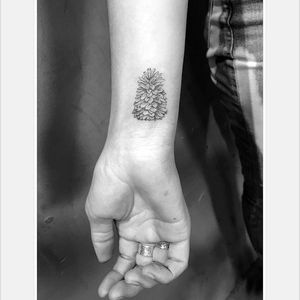 Fineline pine cone tattoo by Daniel Winter. #singleneedle #fineline #linework #DanielWinter #pinecone