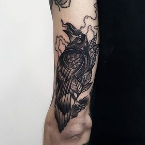 Blackwork Crow Tattoo by Alex Garcia #blackworkcrow #crow #blackcrow #raven #blackbird #blackworkbird #blackworkartist #AlexGarcia