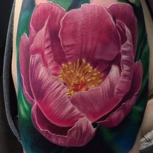 Pretty in pink by Vic Vivid via @vicvivid #flower #floral #realistic #realism