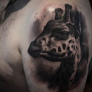 Black and grey realism giraffe tattoo by Ben Thomas. #realism #blackandgrey #giraffe #BenThomas
