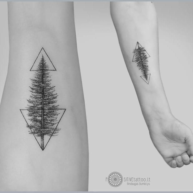 Spruce Pine Tattoo Fir Tree  Tattoo HD Png Download  kindpng