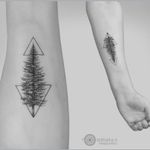 Fir tree tattoo by Mindaugas Bumblys #MindaugasBumblys #geometric #nature #blackwork #tree #firtree