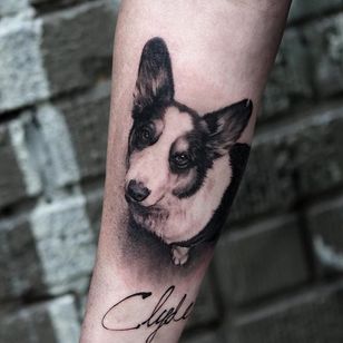 Precioso retrato de Clyde, el perro, de Oscar Akermo (IG-oscarakermo).  #gris negro #corgi #OscarAkermo #retrato #realismo