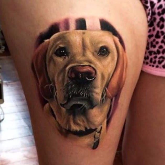 healedtattoo labrador petportrait pettattoo colored petlovers  dogsofinstagram dogs instadogs dogstagram tattoos ink inked tattoo   By Manjeet Tattooz  Facebook