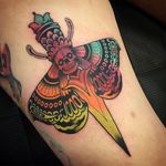 Awsome technicolor dagger moth by Scott Garitson (IG—scottgaritsontattoo). #dagger #moth #ScottGaritson #skull #surreal #traditional #vibrant