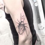 Bug tattoo by Gus Gribouille #GusGribouille #doodle #abstract #graphic #blackwork #insect
