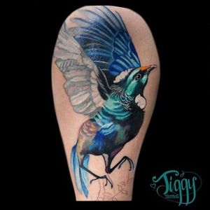 Stunning colorful fantail from Tiggy Tattoos #kiwiana #bird #birdtattoo  #fantail #tui #Pohutukawa #newzealand