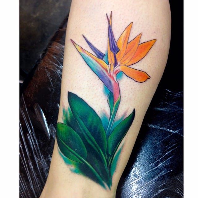 Bird of paradise tattoo on the left forearm