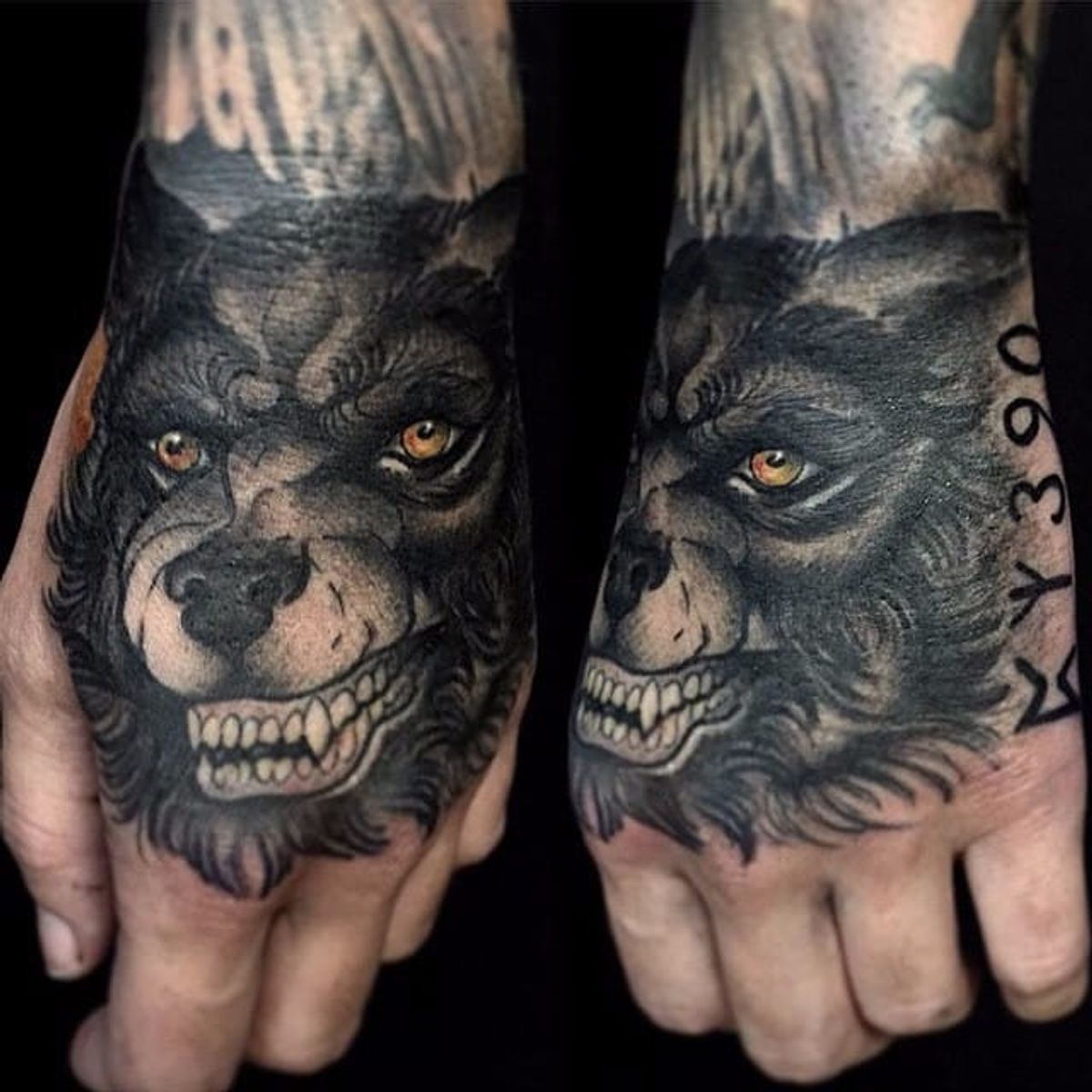 Tattoo uploaded by Rafaela Marchetti • Sirius como cachorro por Jim ...