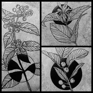 Blackwork negative space + flower flashes by Casper Mugridge. #CasperMugridge #blackwork #negativespace rose #flower #floral #flashes #botanical #plants #linework