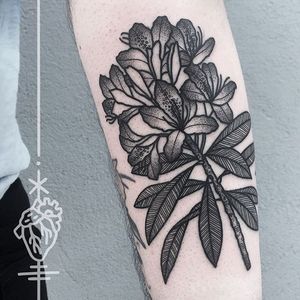 Blackwork rhododendron tattoo by Sarah Herzdame. #flower #botanical #rhododendron #blackwork #dotwork #linework #SarahHerzdame