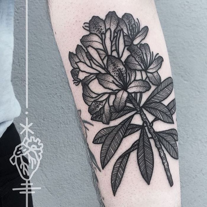 Tattoo uploaded by Stacie Mayer  Tattoodo