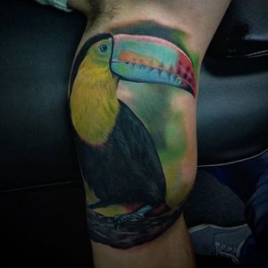Color realism toucan by Dan Lockett. #realism #colorrealism #bird #toucan #DanLockett
