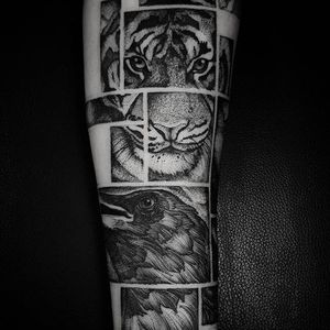 Blackwork tattoo by Felipe Kross. #FelipeKross #blackwork #dotwork #tile #box #animal #blckwrk #dotwork #crow #tiger