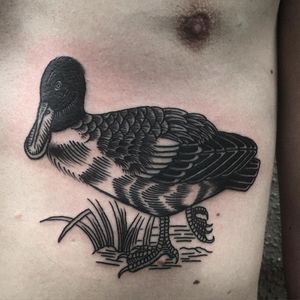Duck Tattoo by Jack Ankersen #Blackwork #TaditionalBlackwork #BlackTattoos #Illustrative #BoldBlackwork #JackAnkersen #btattooing #blckwrk #duck
