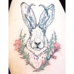 Jackalope tattoo by Shannon Perry. #ShannonPerry #linebased #linework #offbeat #jackalope #antler #rabbit