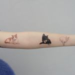 Tripe threat cat attack tattoo by Youyeon #Youyeon #cattattoos #color #realism #realistic #hyperrealism #cat #kitty #petportrait #tabby #cute #animal