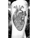 Awesome how it began as lines and dots #linework #dotwork #heart #anatomicalheart #blackwork