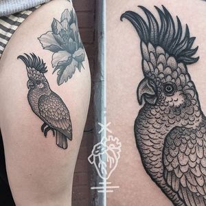 Cheeky cockatoo dotwork tattoo by Sarah Herzdame. #cockatoo #bird #dotwork #blackwork #blackandgrey #SarahHerzdame