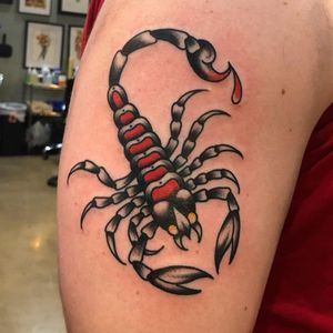 Tattoo uploaded by Paula Zeikmane • Traditional scorpion tattoo by Sol  Amstutz at Dream Scollide tattoo studio #scorpion #traditional  #dreamscollide • Tattoodo