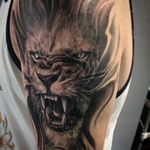 Roaring lion tattoo by Lee Sheehan. #blackandgrey #realism #lion #bigcat #LeeSheehan