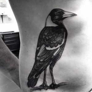 Magpie by Lee Sheehan. #blackandgrey #realism #bird #magpie #LeeSheehan