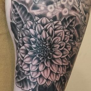 Blackwork Chrysanthemum Tattoo #chrysanthemum