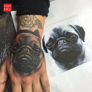Por Marc Fischer! #MarcFisher #Pug #pugtattoo #dogtattoo #dog #cachorro #cachorrotattoo #realismo #realistictattoo #handtattoo #tattoonamao