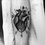 Clean and solid anatomical heart tattoo. #MacarenaSepulveda #HEART #blackwork #anatomicalheart