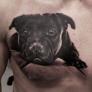 Super cute portrait of a puppy by Claudia Reato. #ClaudiaReato #portrait #blackandgray #dog #animalportrait