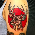 Powerful looking portrait of a buck done by Jacob N. #JacobN #traditionaltattoo #boldtattoo #oldschool #buck #deer #traditional