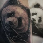 Panda tattoo by Jumilla Olivares #JumillaOlivares #blackandgrey #realistic #portrait #dark #panda