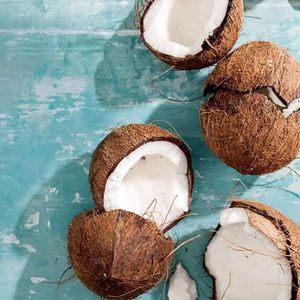 The brand of coconut oil doesn't matter, but look for keywords such as 'organic' and 'unrefined' on the labels as these are the best quality and most natural which will give you all the benefits listed here. #coconut #coconutoil #aftercare #newtattoo