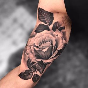 A lush rose by Joey Boon #joeyboontattooartist #joeyboon #realism #realistic #hyperrealism #blackandgrey #rose #leaves #tattoooftheday