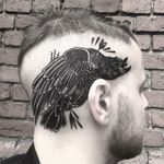Blackwork Bird Tattoo by Zam Guerrero #bird #head #scalp #blackwork #blackink #blackworkhead #jobstopper #boldwillhold #ZamGuerrero