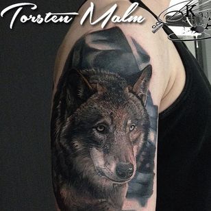 Tatuaje de lobo realista de Torsten Malm.  #realismo #farverealismo #ulv #TorstenMalm #dyr
