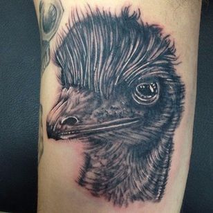 Tatuaje de emú realista negro y gris de Jason Turner.  #emu #Australien #Australiananimal #Australianfauna #blackandgrey #realism #JasonTurner